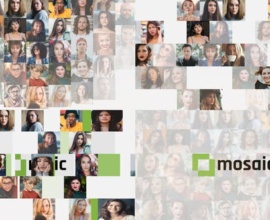 Mosaic Logo Reveals - Premiere Pro - 33133736 - Free Download