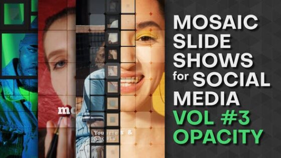 Videohive 42504041 Mosaic Slideshows for Social Media. Vol 3 OPACITY