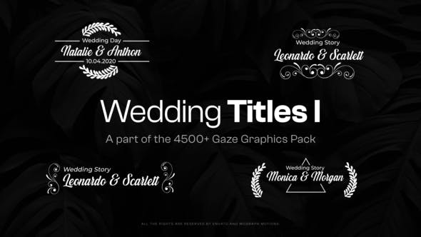 Videohive 47686653 Elegant Wedding Titles