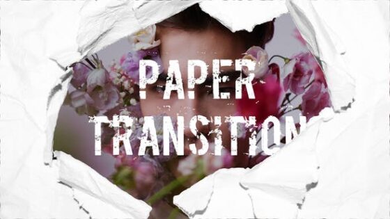 Videohive 49463502 Paper Transition